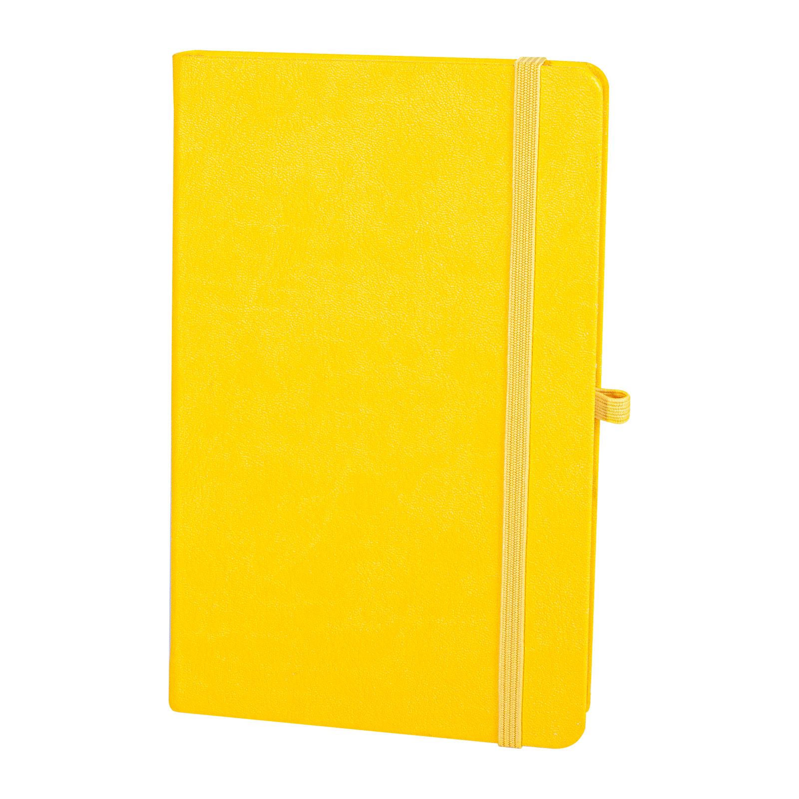 Petrus Tarihsiz Defter (13X21 cm) - logolu defterler promosyon ürünü